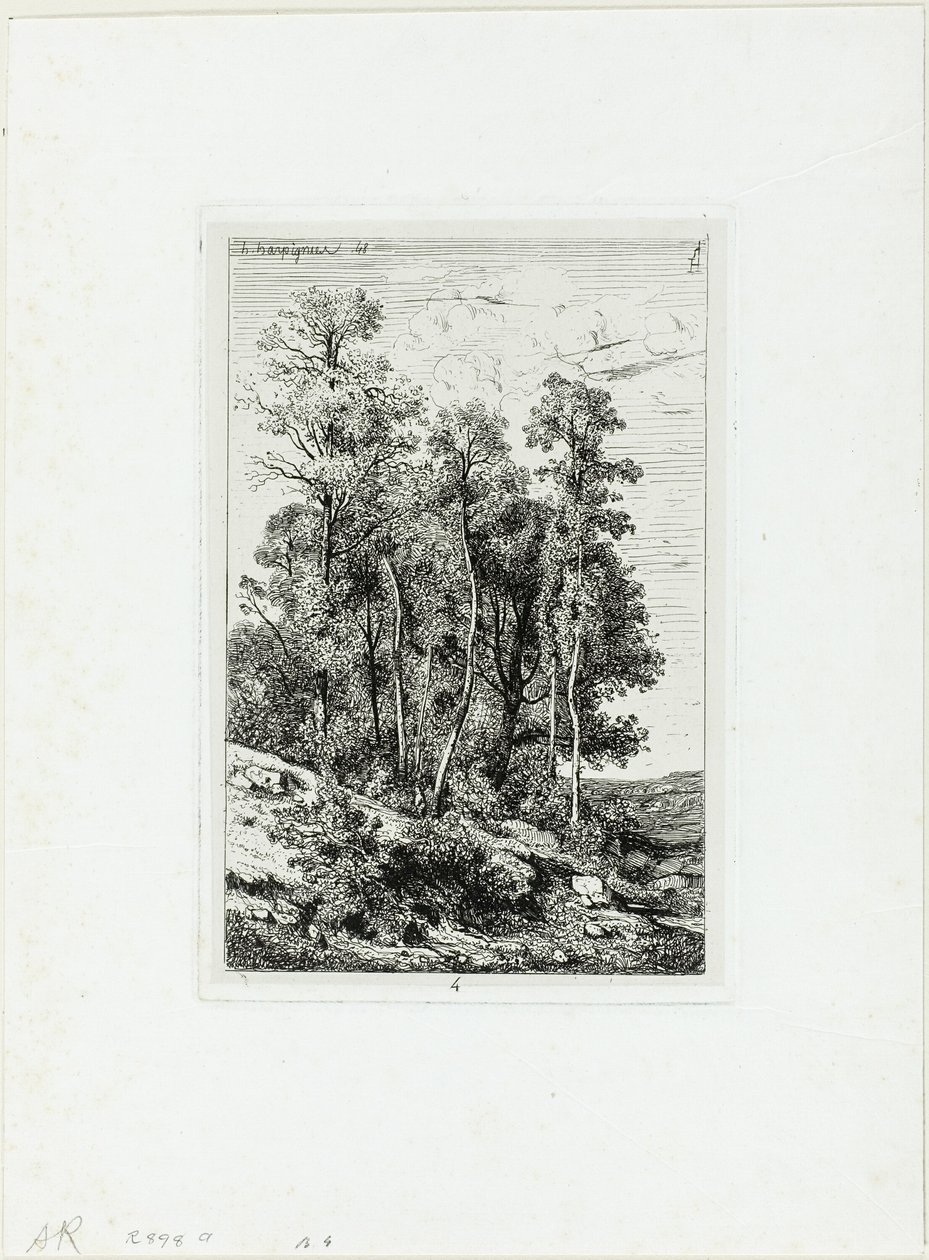 Nyírek és tölgyek alkotó: Henri Joseph Harpignies
