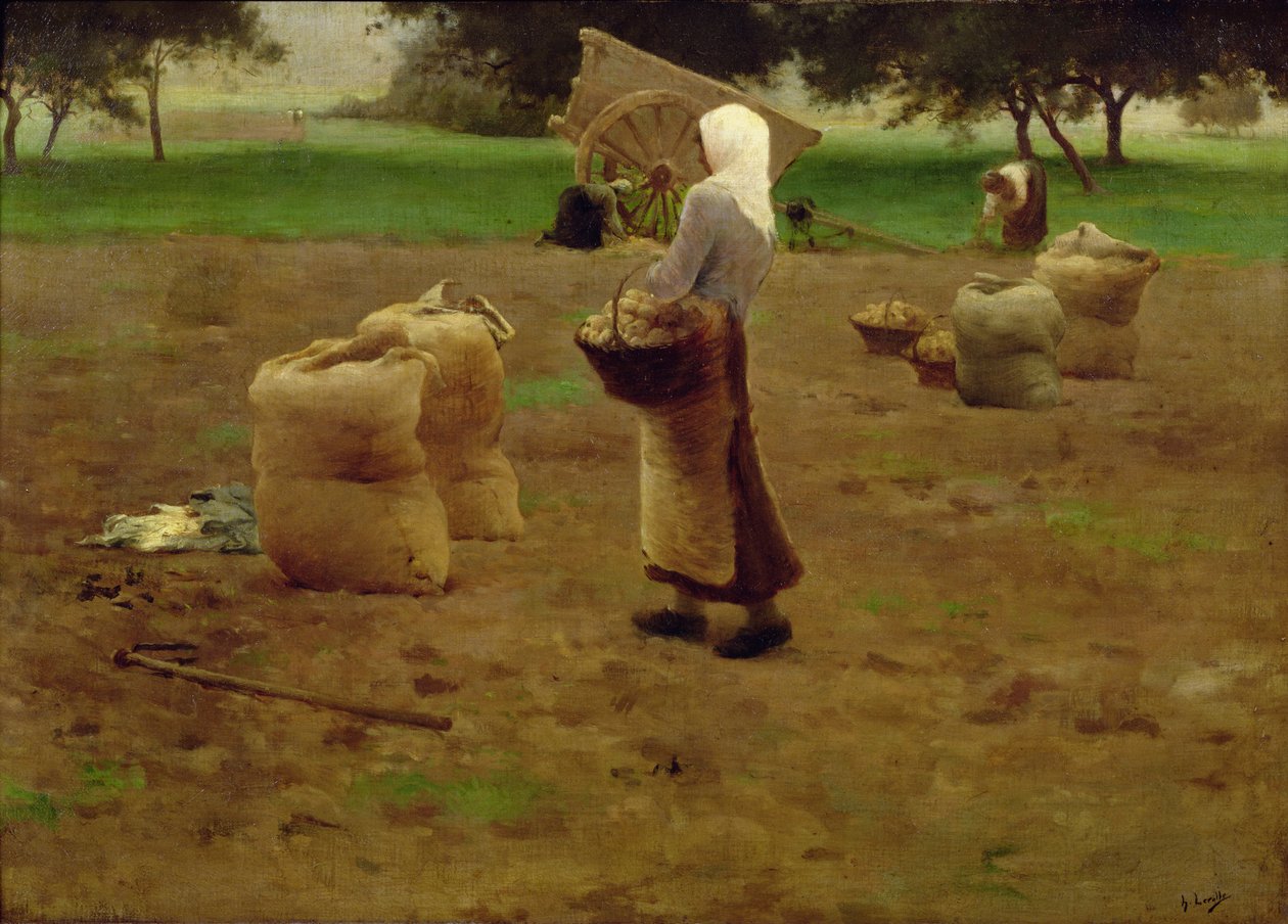 Burgonya betakarítás alkotó: Henri Lerolle