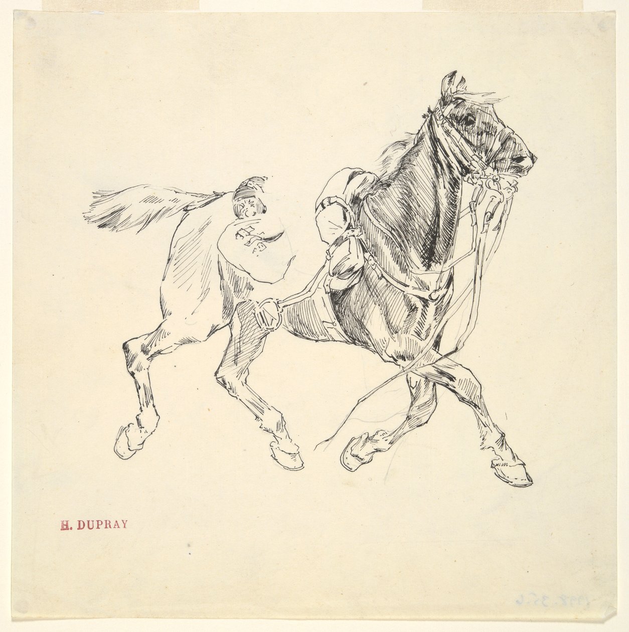 Katonai ló alkotó: Henri Louis Dupray