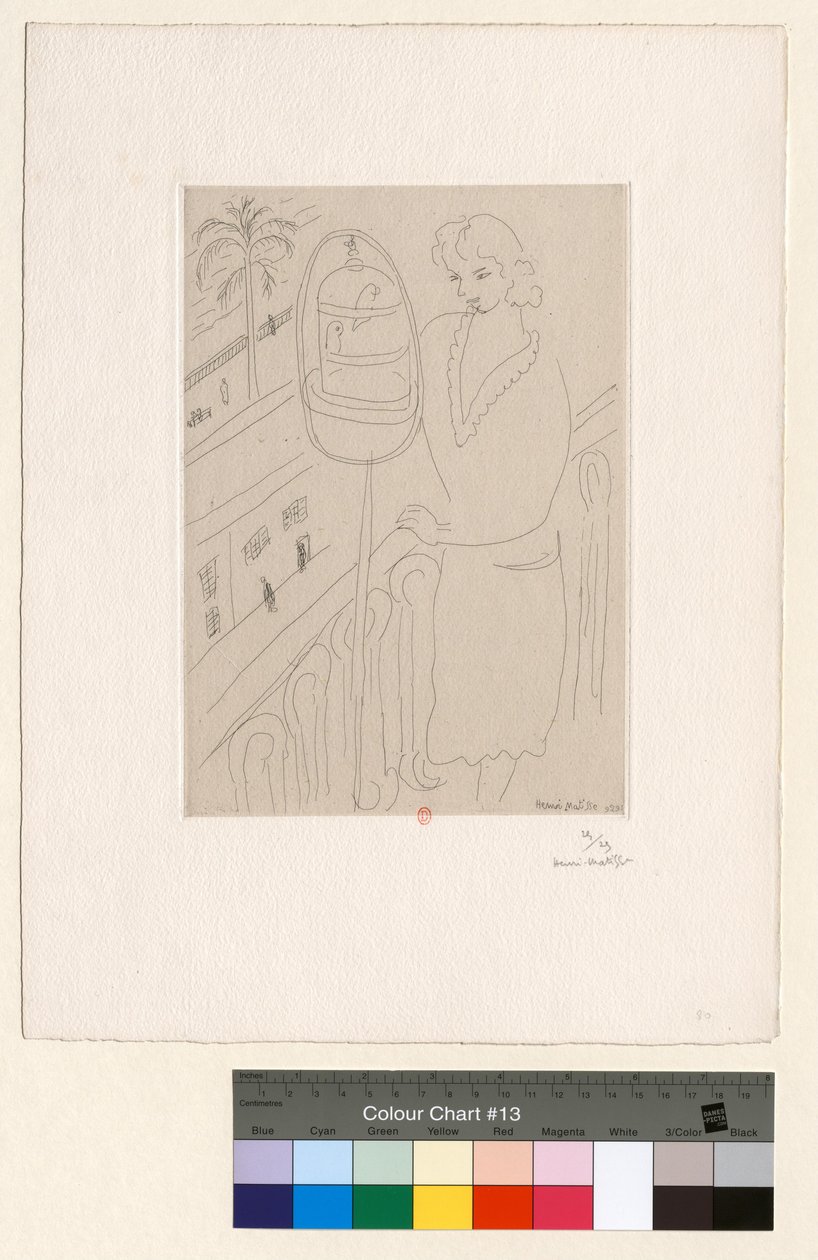 Fiatal nő az erkélyen, papagájokat figyelve alkotó: Henri Matisse