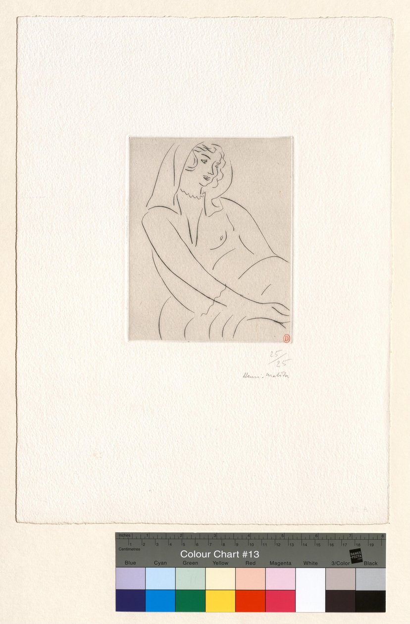 Fiatal nő, fején fátyollal alkotó: Henri Matisse