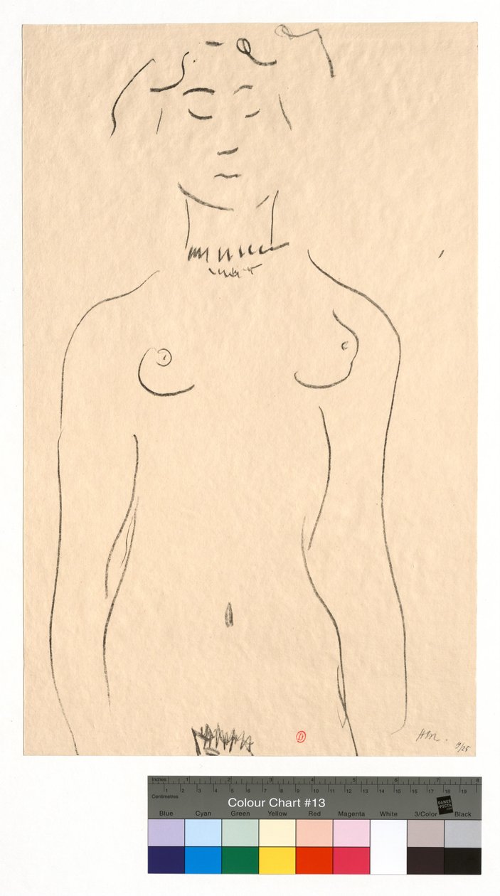 Az idol alkotó: Henri Matisse