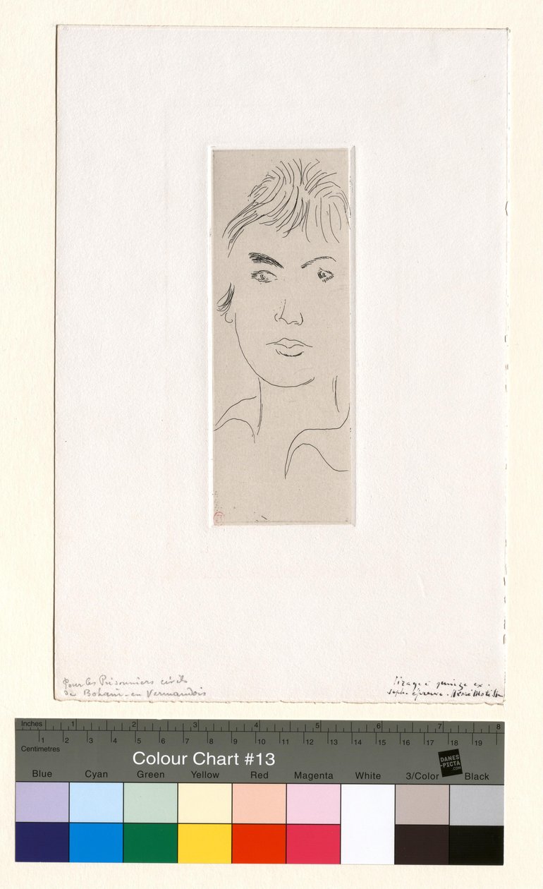 Madame Josette Gris alkotó: Henri Matisse