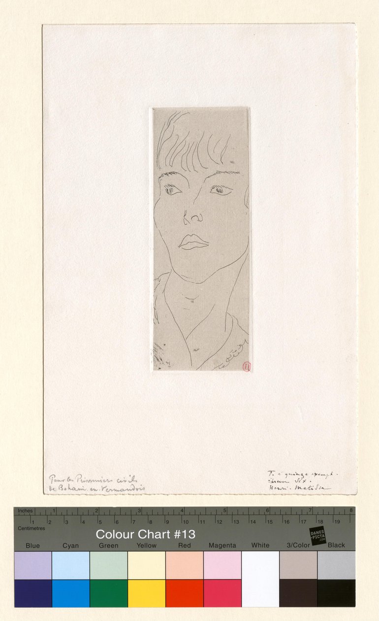 Mme D. G. Fanny alkotó: Henri Matisse