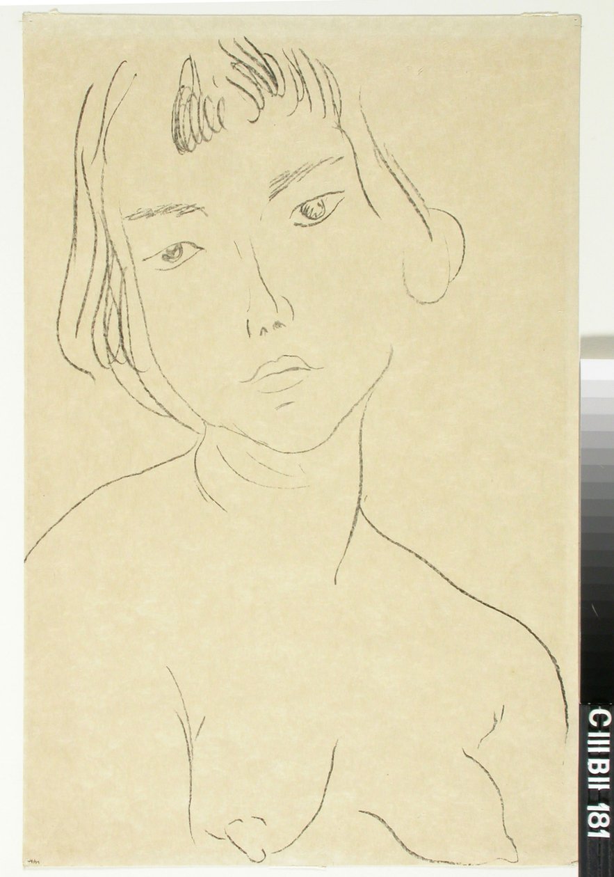 Cím nélkül alkotó: Henri Matisse