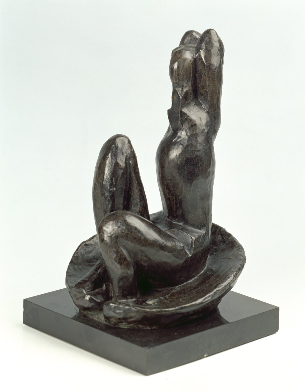 Venus in a Shell I alkotó: Henri Matisse