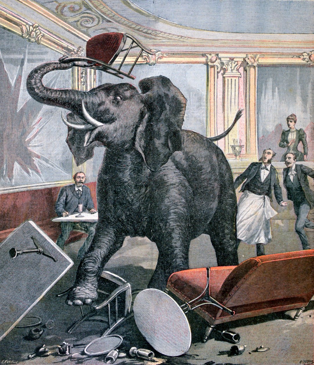 Egy elefánt a Pre-Catalan Caféban, Toulouse, Franciaország, 1891 alkotó: Henri Meyer