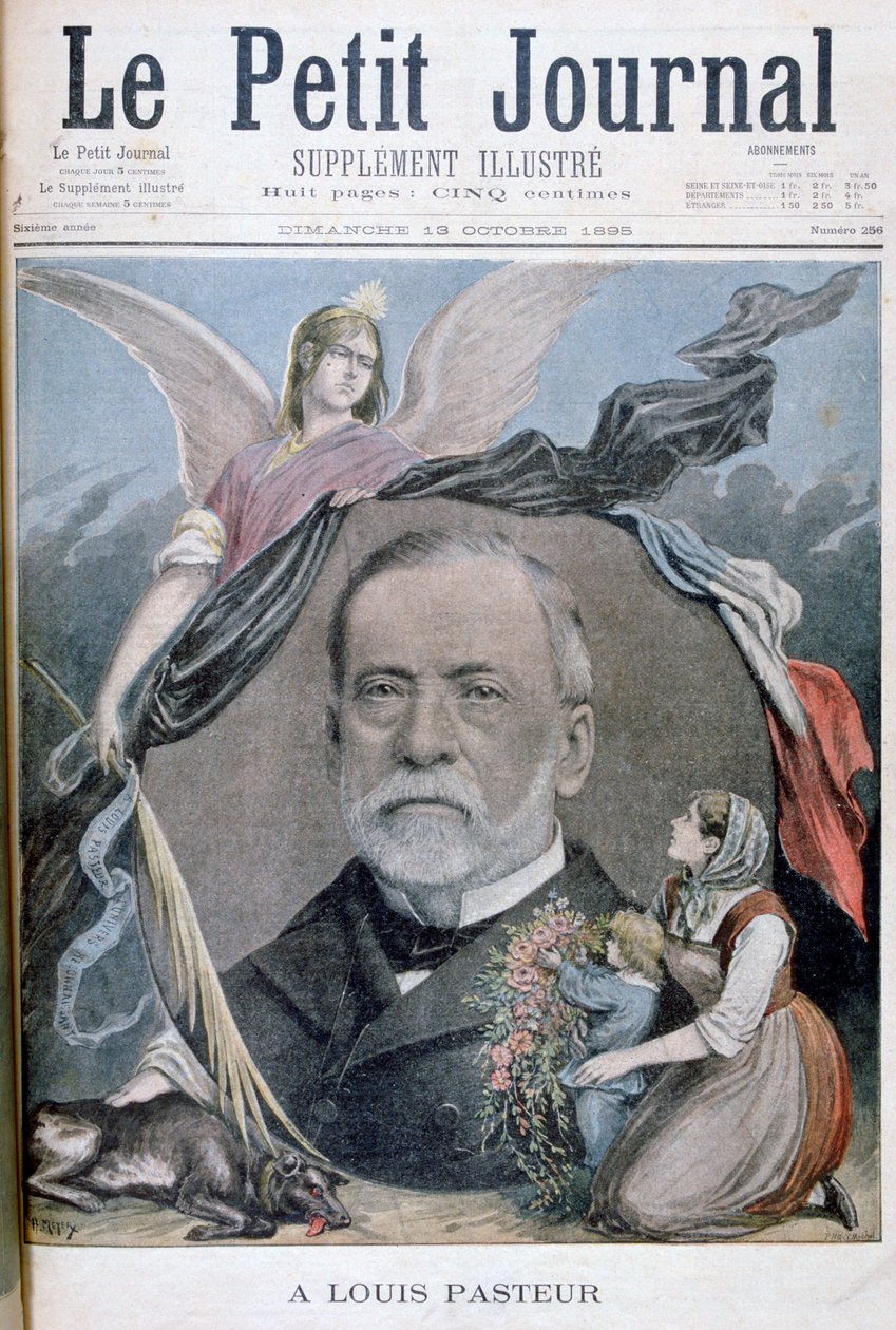 Louis Pasteur francia kémikus, 1895 alkotó: Henri Meyer