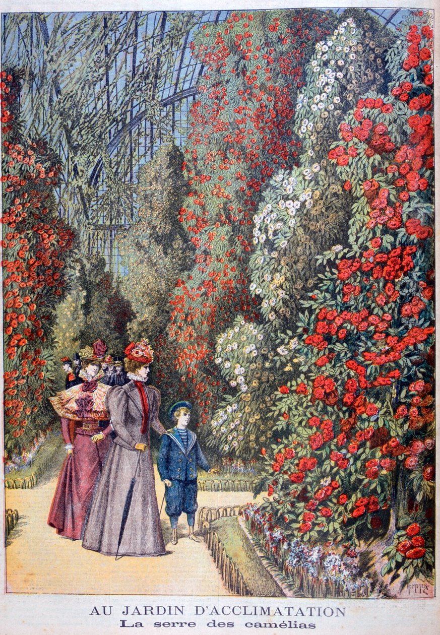 A kaméliák üvegháza, állatkertek, Párizs, 1897 alkotó: Henri Meyer