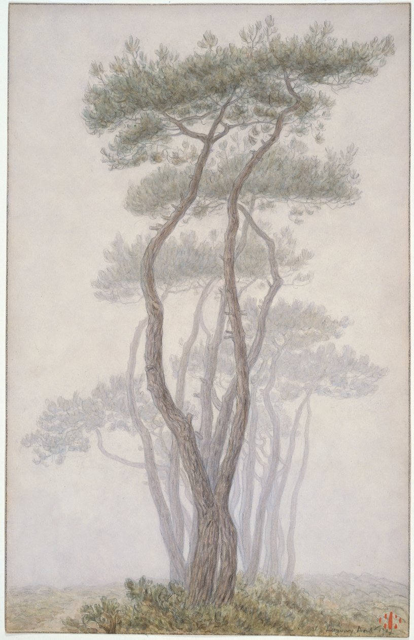 Loguivy, fák alkotó: Henri Rivière