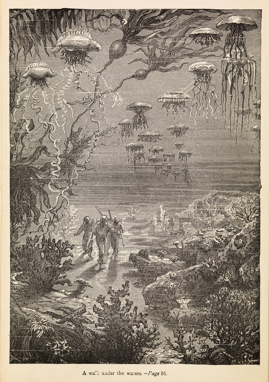 "Séta a víz alatt" a "20 000 mérföld a tenger alatt"-ból, 1870 körül (metszet) alkotó: Henri Theophile Hildibrand