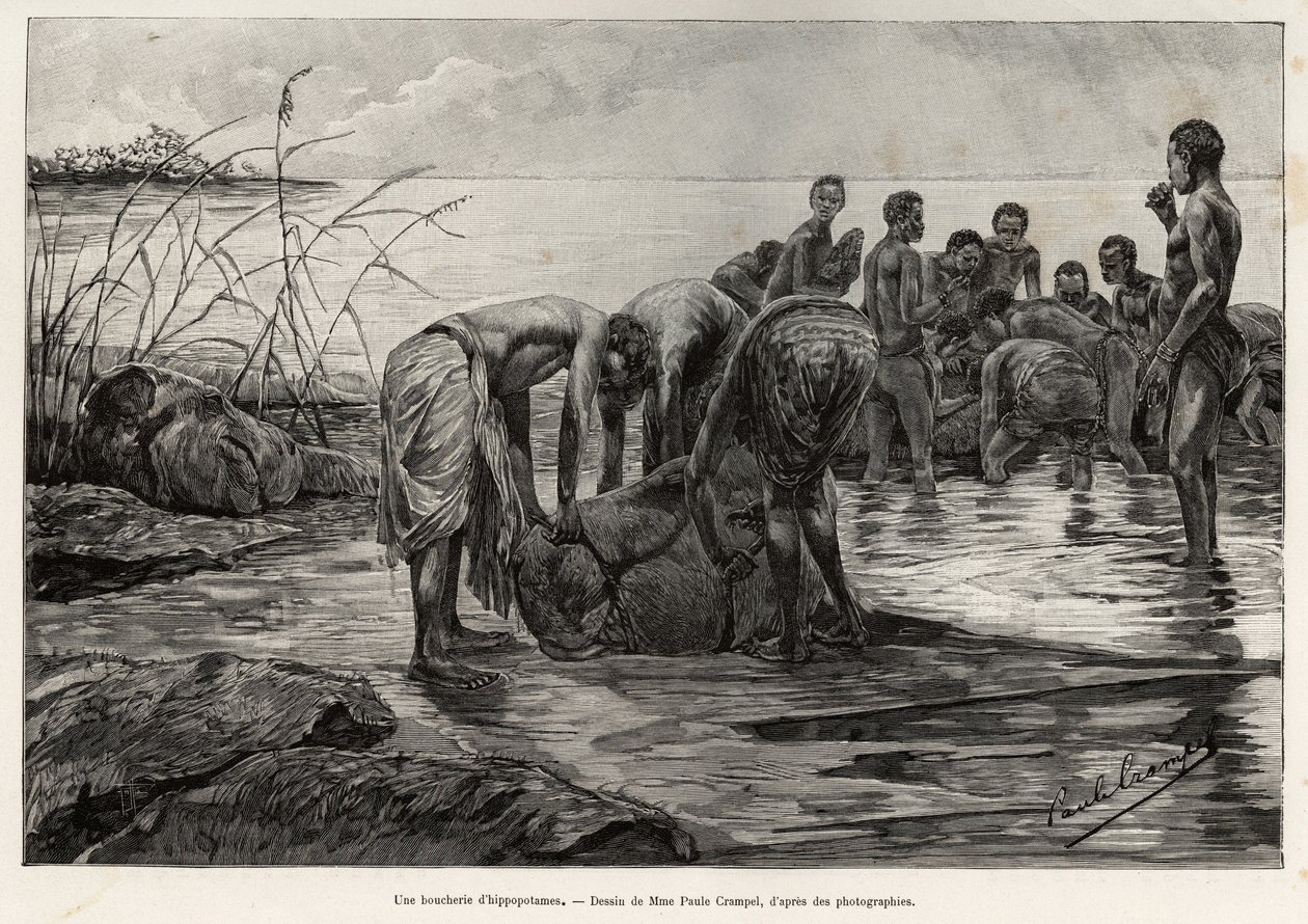 Víziló hentesüzlet egy közép-afrikai folyó partján. Henri Thiriat metszete a „Crampel misszió” című történet illusztrálására, Albert Nebout (1862-1939), 1890-ben, a Le tour du Monde 1892-ben, rendezte: Edouard Charton (1807-1891), Hachette, Pa. alkotó: Henri Thiriat