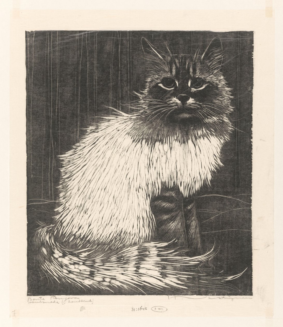 Bonte Angora (eredeti cím a tárgyon) alkotó: Henri Verstijnen (signed by artist)