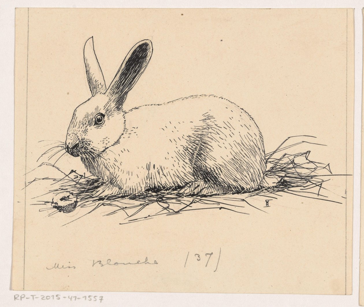 Nyúl alkotó: Henri Verstijnen (signed by artist)