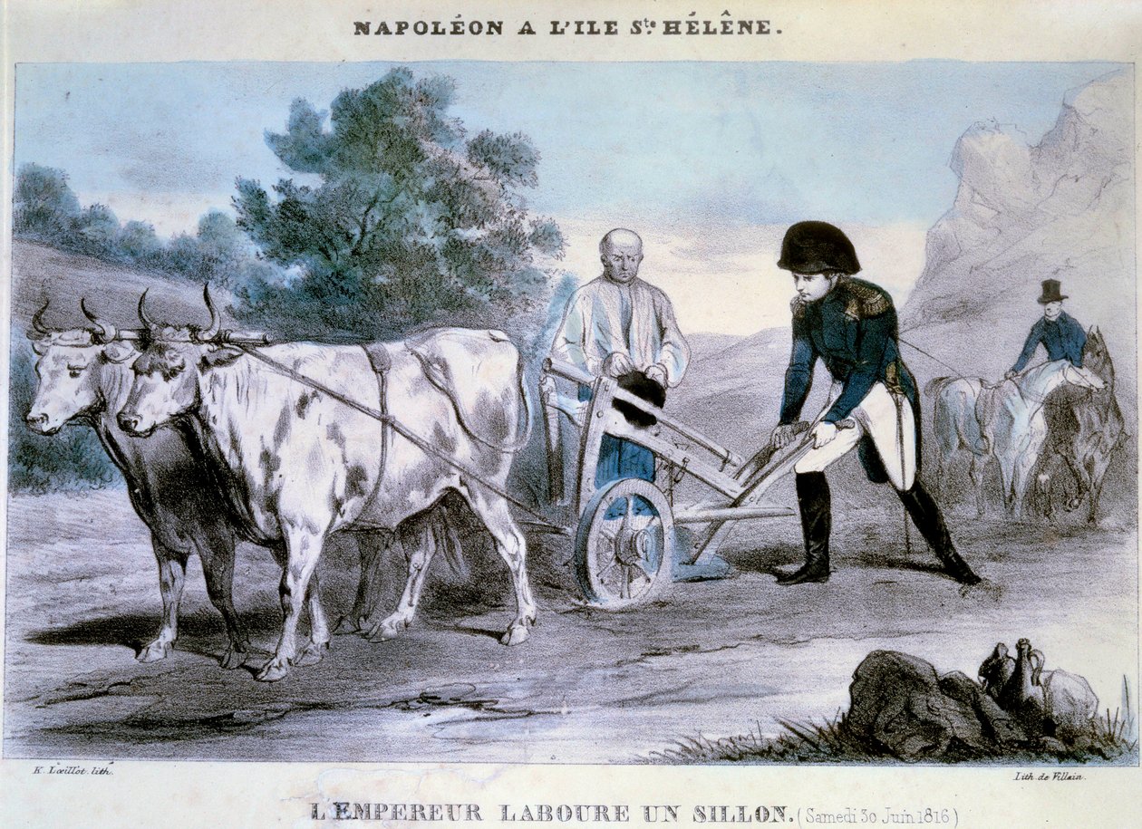 I. Napóleon (1769-1821) Szent Ilona: a császár barázdát szánt (1816.06.30.) Gazember litográfiája. 1816 Ile d