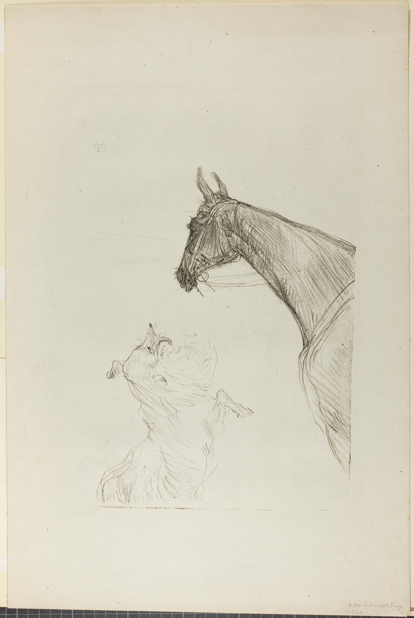 Ló és Collie alkotó: Henri de Toulouse-Lautrec