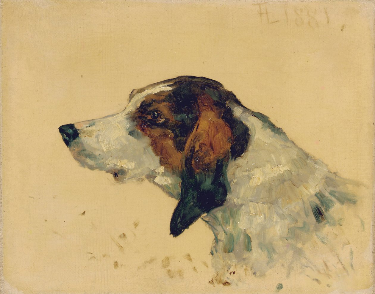 Vadászkutya, 1881 alkotó: Henri de Toulouse Lautrec