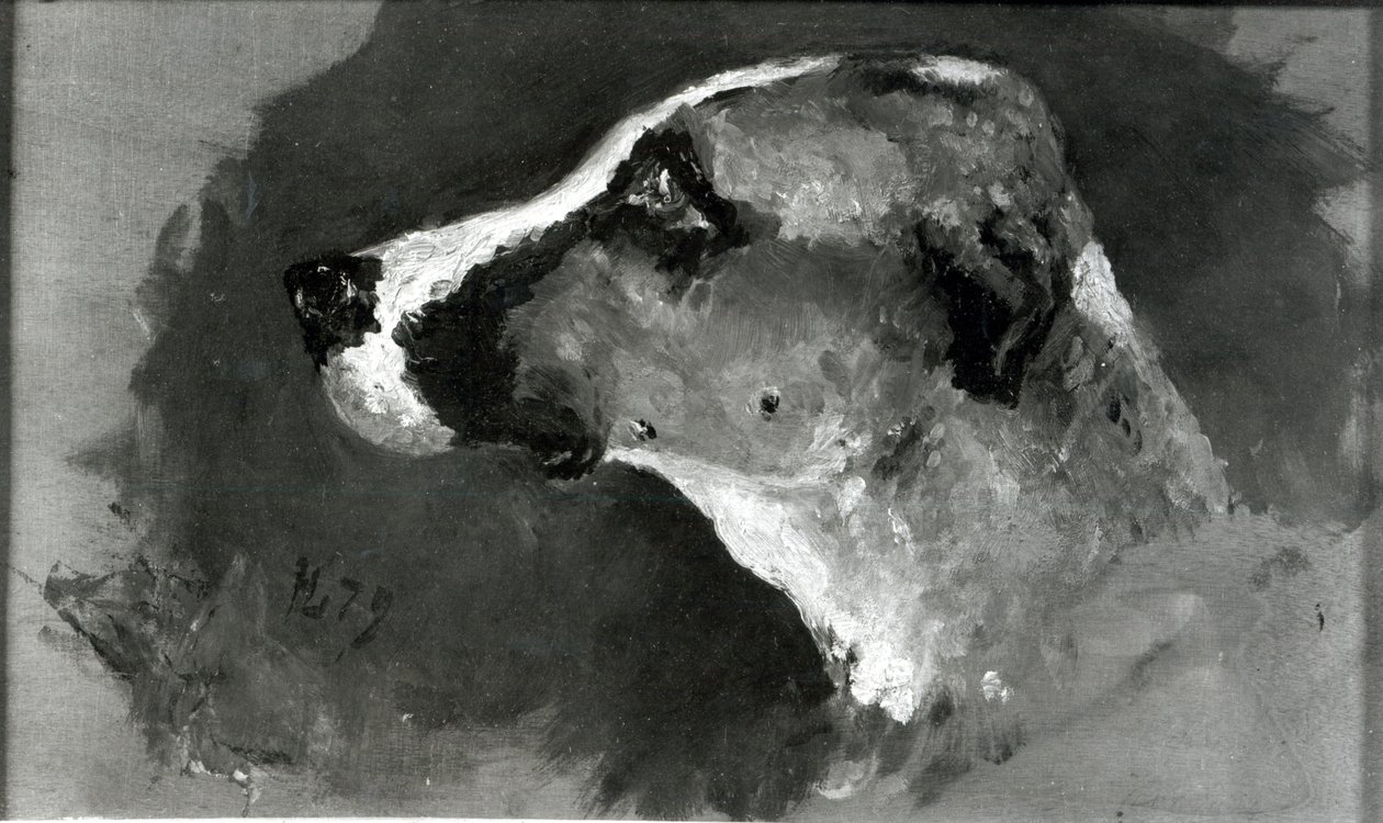 Rövid fülű kutya feje, 1879 alkotó: Henri de Toulouse Lautrec