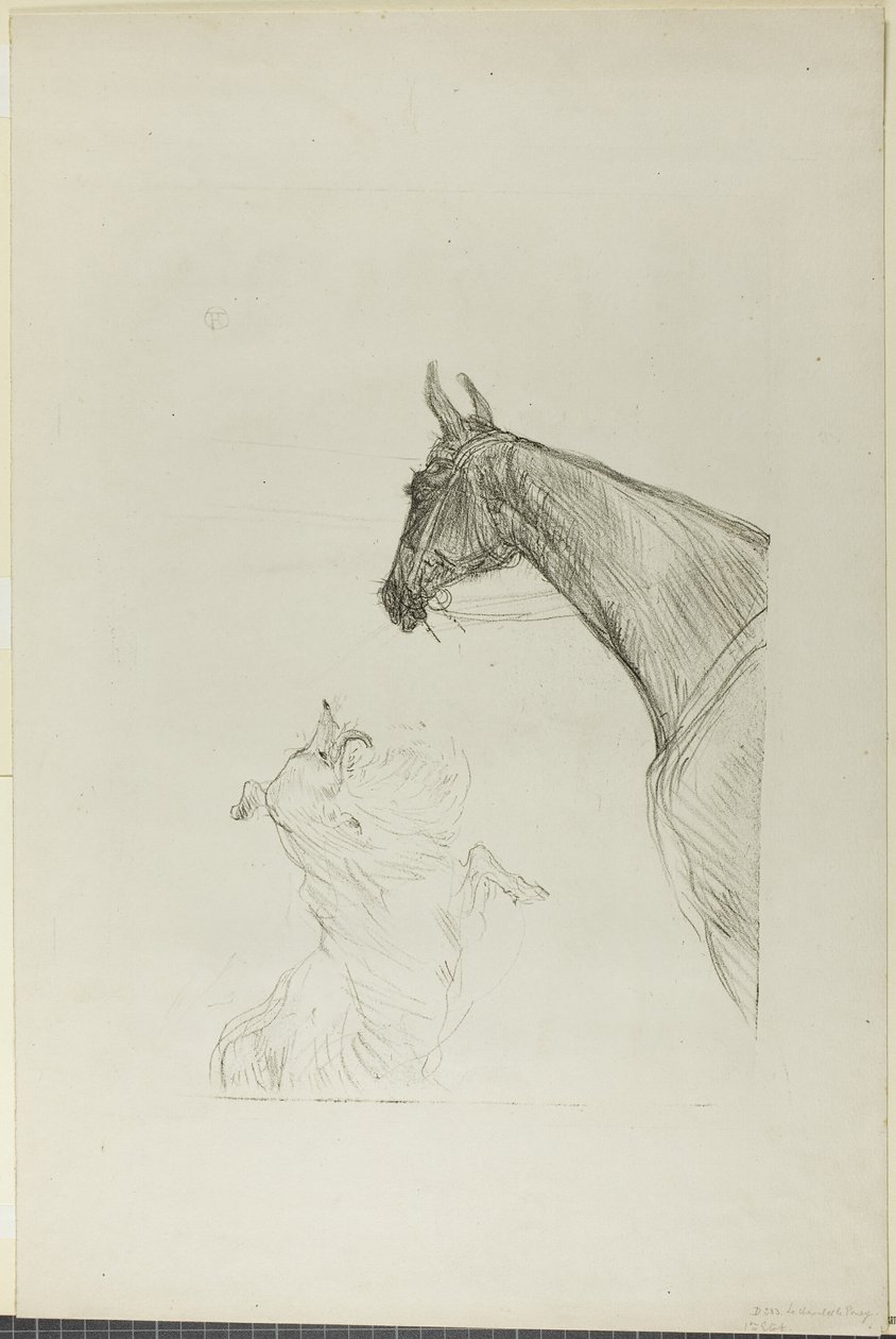 Ló és Collie alkotó: Henri de Toulouse Lautrec