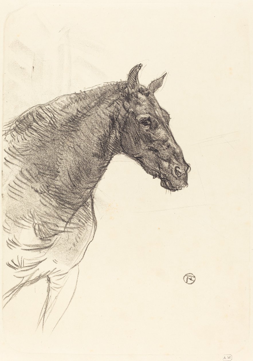Öreg ló Az öreg ló, 1897. alkotó: Henri de Toulouse Lautrec