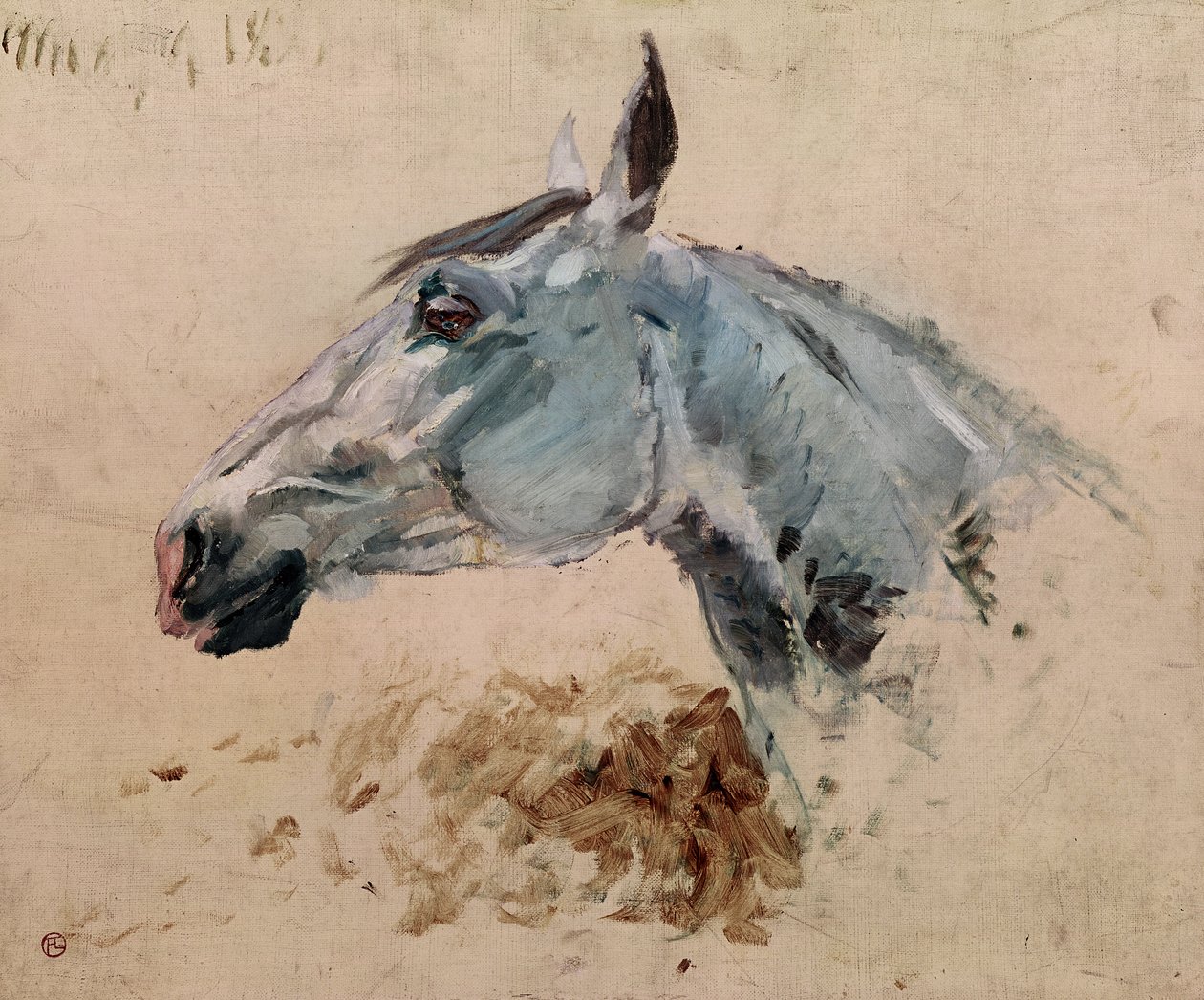 Fehér Ló "Gazelle", 1881 alkotó: Henri de Toulouse Lautrec
