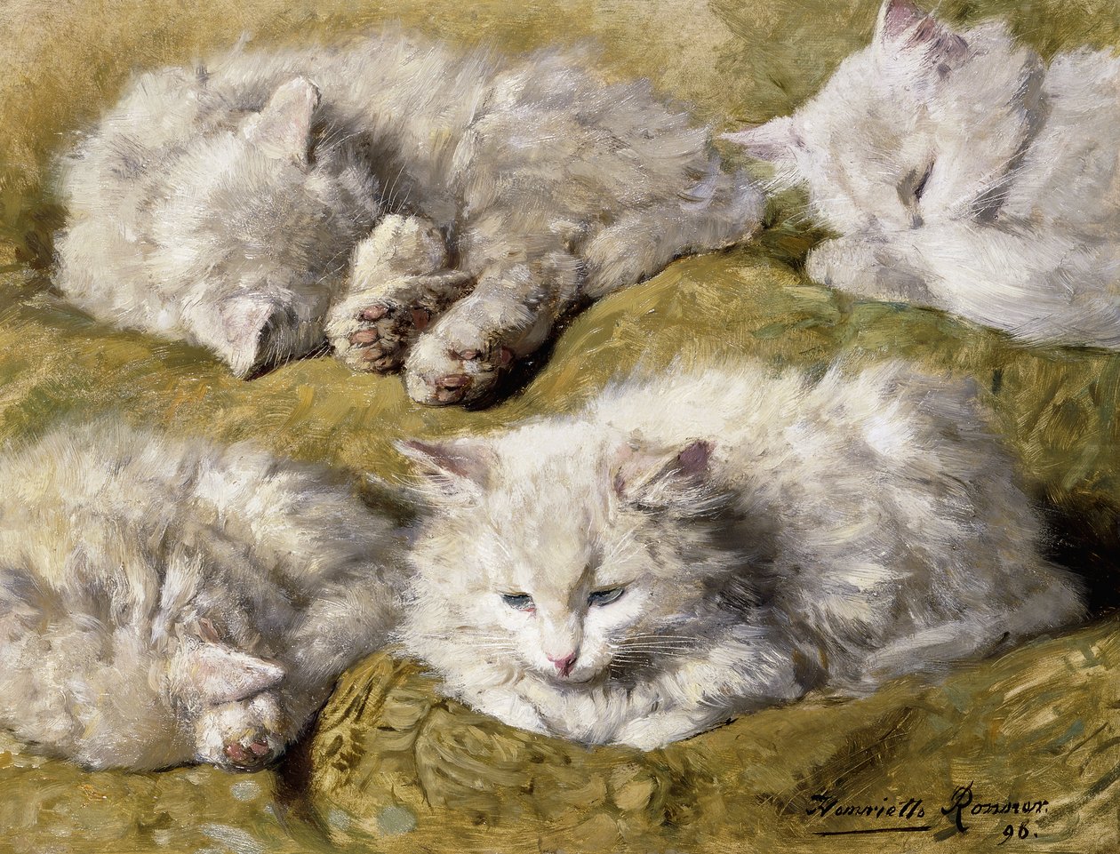 Tanulmányok egy hosszú szőrű fehér macskáról, 1896 alkotó: Henriëtte Ronner Knip