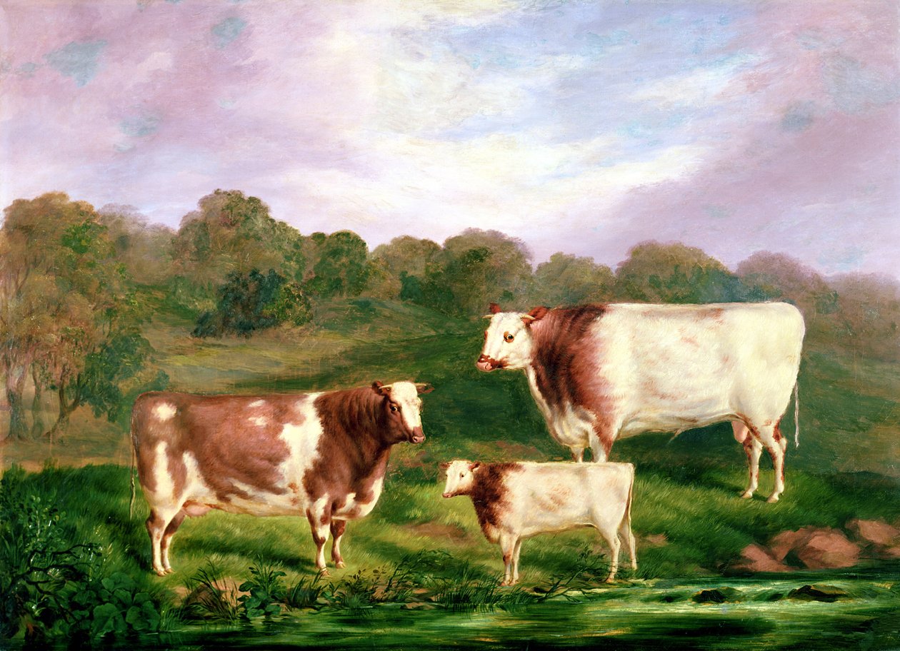 Towneley törzskönyvei, 1858-61 alkotó: Henry Barraud