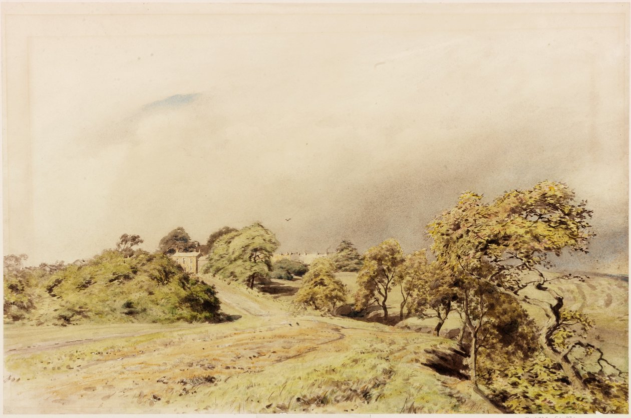 Beaumont (testszín) alkotó: Henry Burdon Richardson