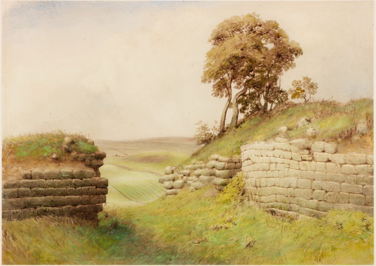 Birdswald (testszín) alkotó: Henry Burdon Richardson