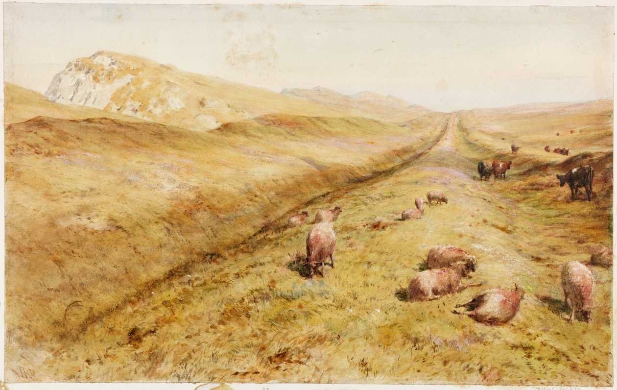 Cawfields (testszín) alkotó: Henry Burdon Richardson