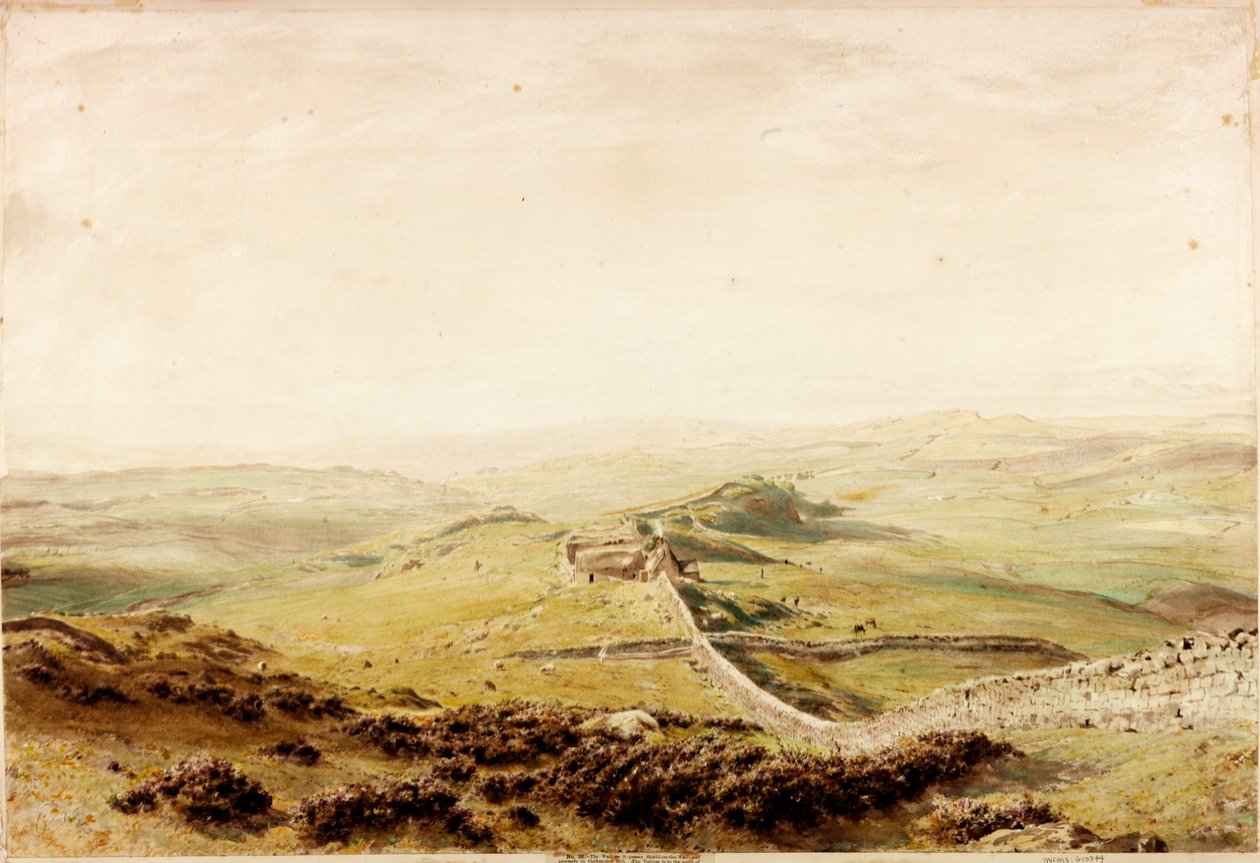 Pajzs a falon (testszín) alkotó: Henry Burdon Richardson