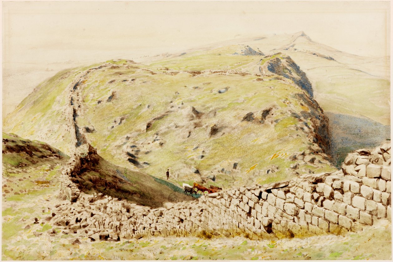 Steel-Rigg (testszín) alkotó: Henry Burdon Richardson