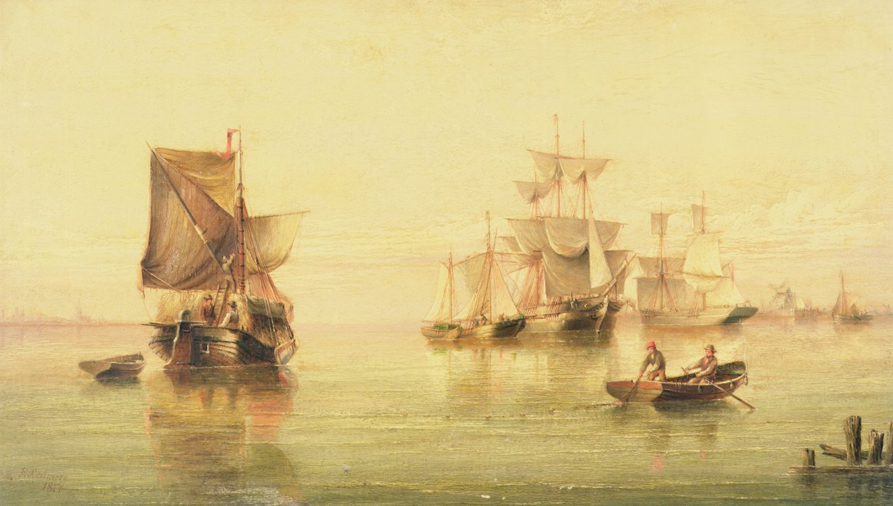 holland rózsaszínek alkotó: Henry Redmore