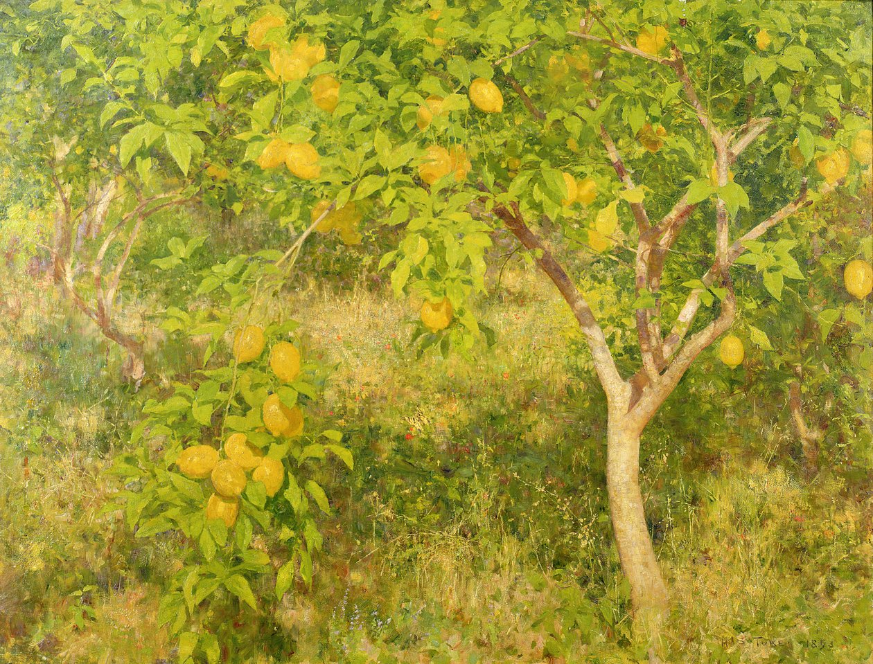 A citromfa, 1893 alkotó: Henry Scott Tuke