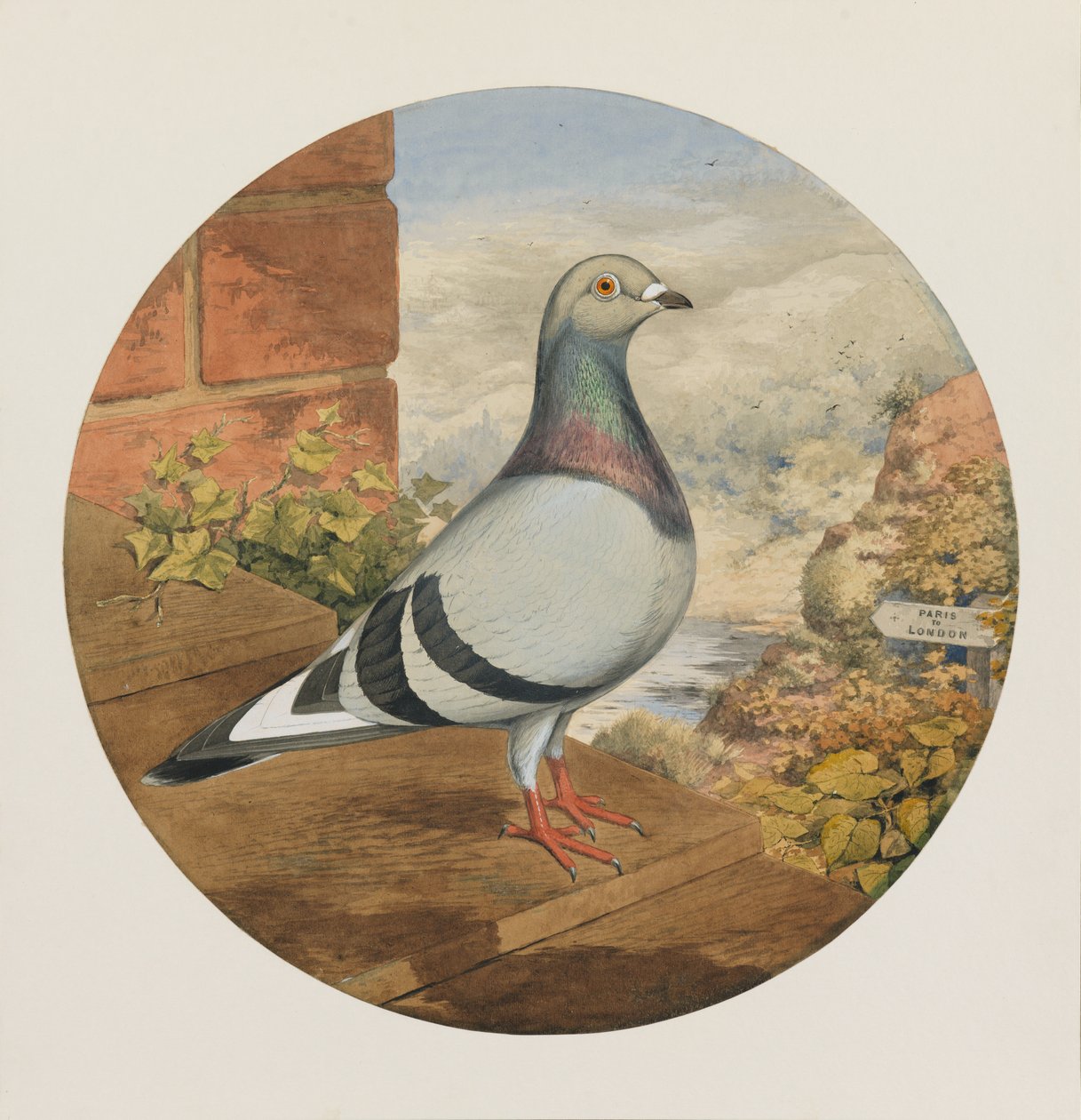 Racing Pigeons, Párizs - London, 1880 alkotó: Henry Stephen Ludlow