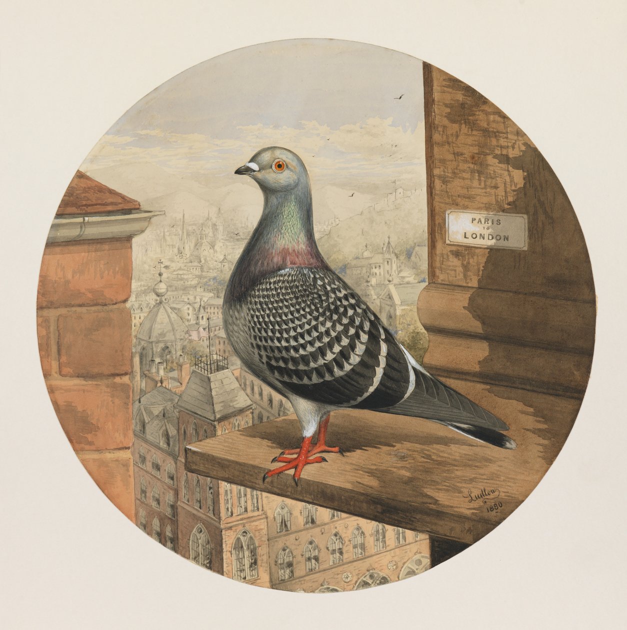 Racing Pigeons, Párizs - London, 1880 alkotó: Henry Stephen Ludlow