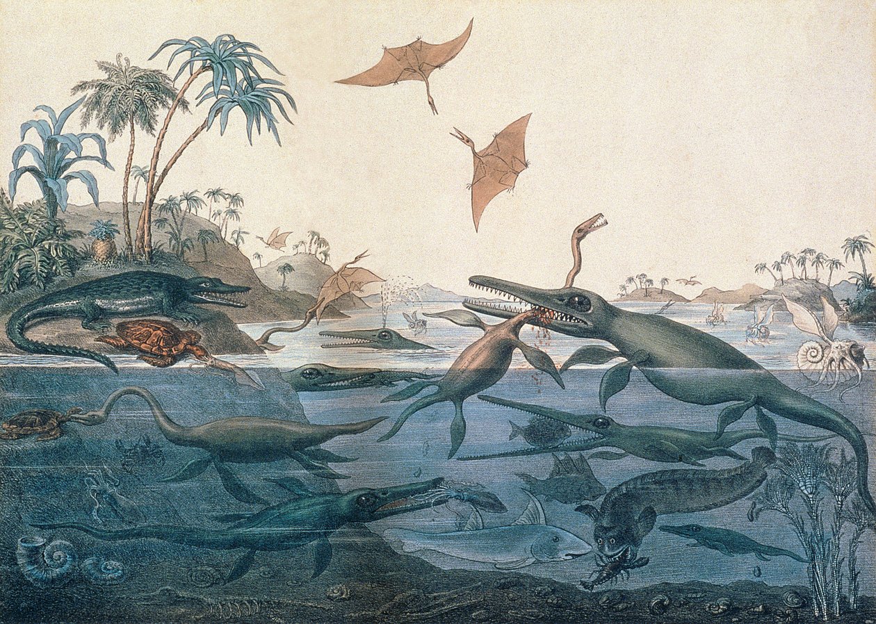 Duria antiquior (Ancient Dorset), a jura tengerek életének ötletes rekonstrukciója, George Scharf (1820-95) metszetében, Charles Joseph Hullmandel (1789-1850) nyomatában alkotó: Henry Thomas De La Beche
