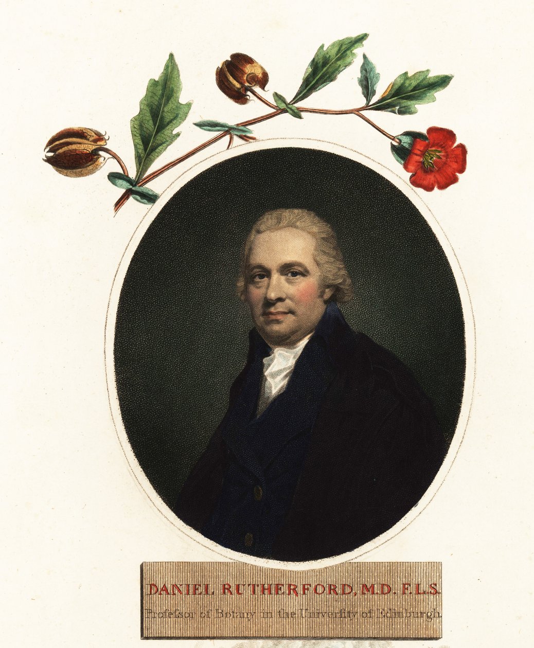 Daniel Rutherford botanikus portréja.1805 (metszet) alkotó: Henry (after) Raeburn