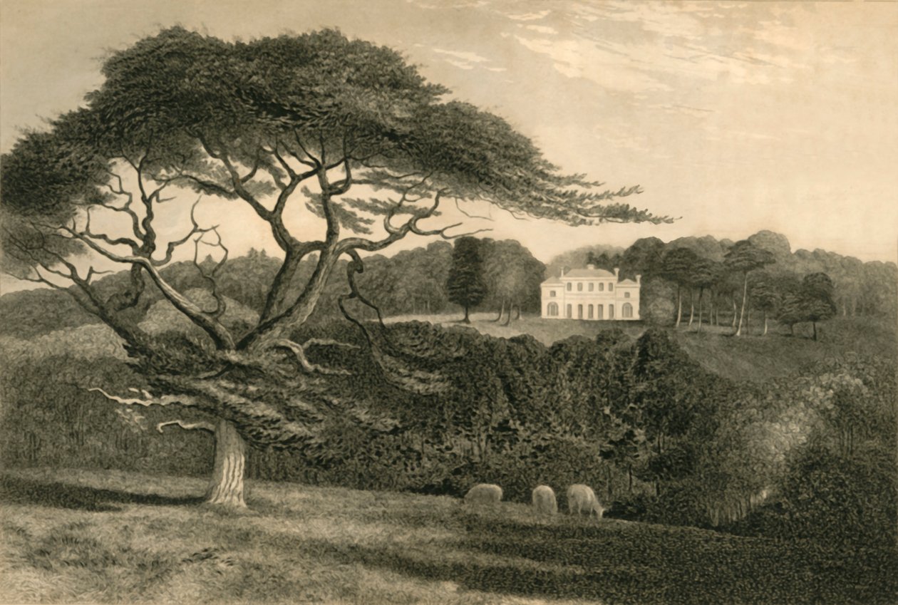 "Szélmalomdomb", 1835. alkotó: Henry Alexander Ogg