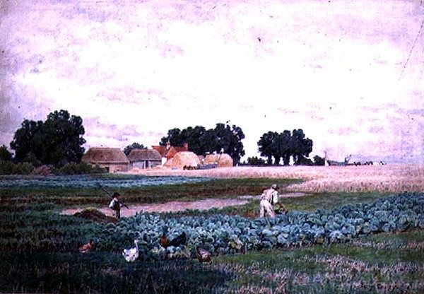 Káposztaföld és Farm alkotó: Henry Bailey