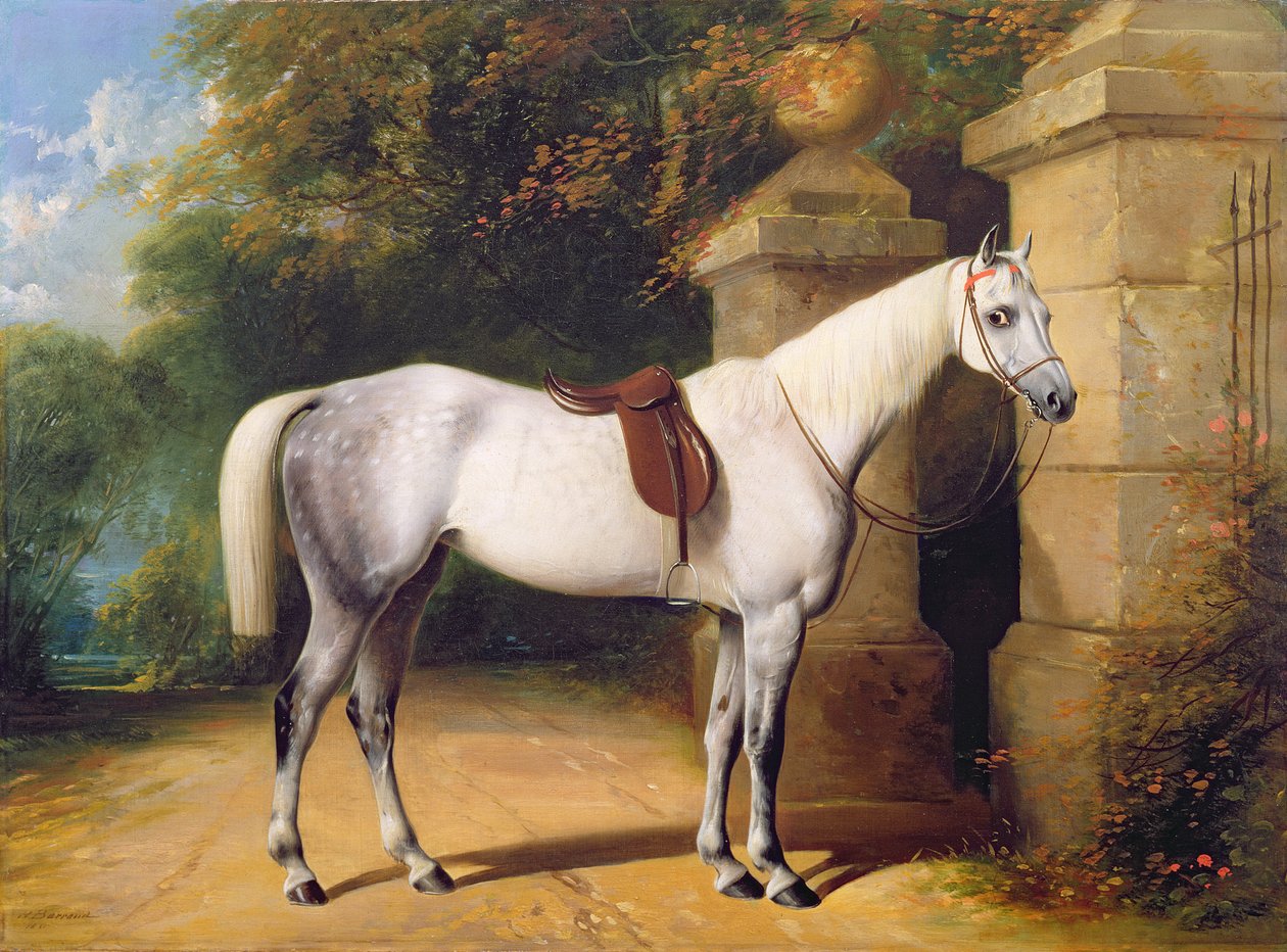 Egy szürke ló a Park Gates mellett, 1851 alkotó: Henry Barraud