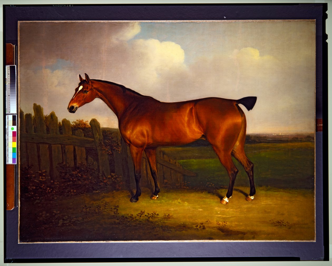 Egy öblös versenyló, Richmond és Lennox Károly 5. hercegének tulajdona, tájképben (festmény) alkotó: Henry Bernard Chalon