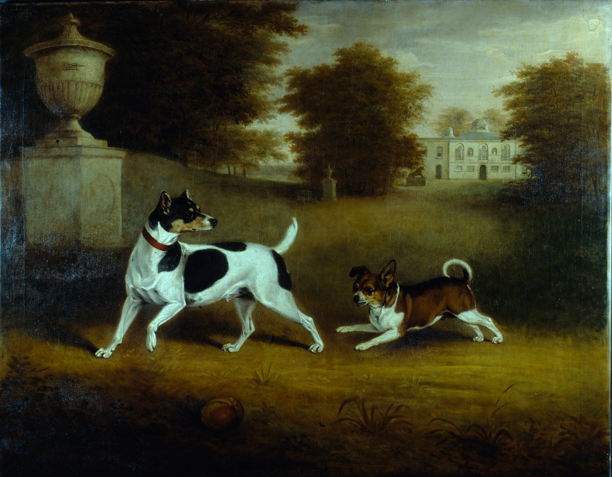 „Betty Martin”, egy terrier és „Idol”, egy korcs, a 6. herceg kutyái a chiswicki kertben (olaj, vászon) alkotó: Henry Bernard Chalon