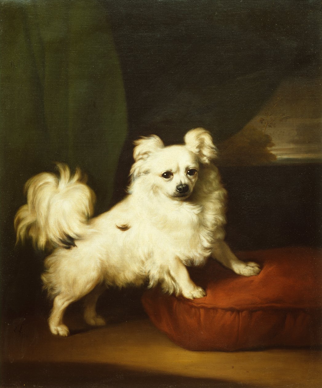 Kedvence, egy fehér papillon, amely egy párnán áll alkotó: Henry Bernard Chalon