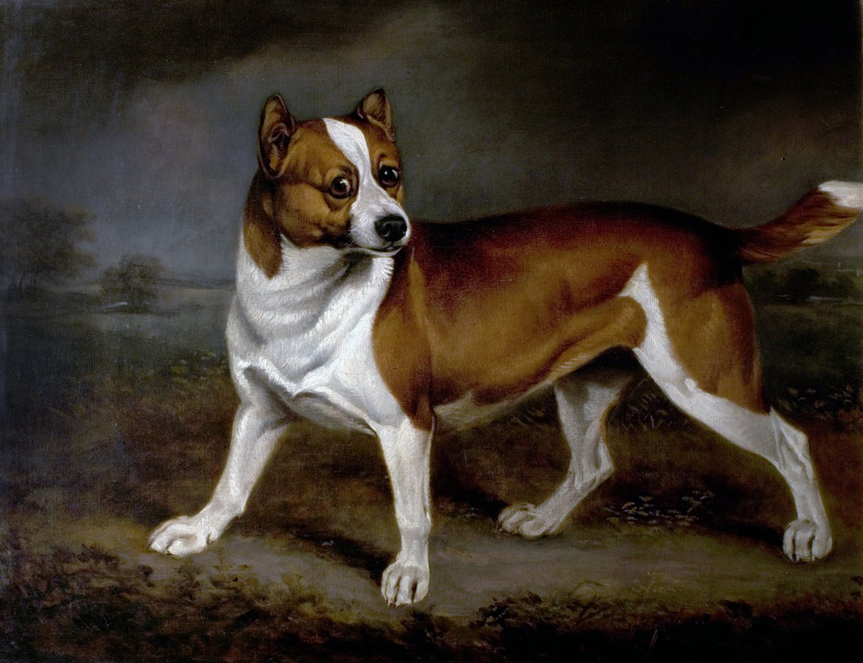 Csalán, 1812 alkotó: Henry Bernard Chalon
