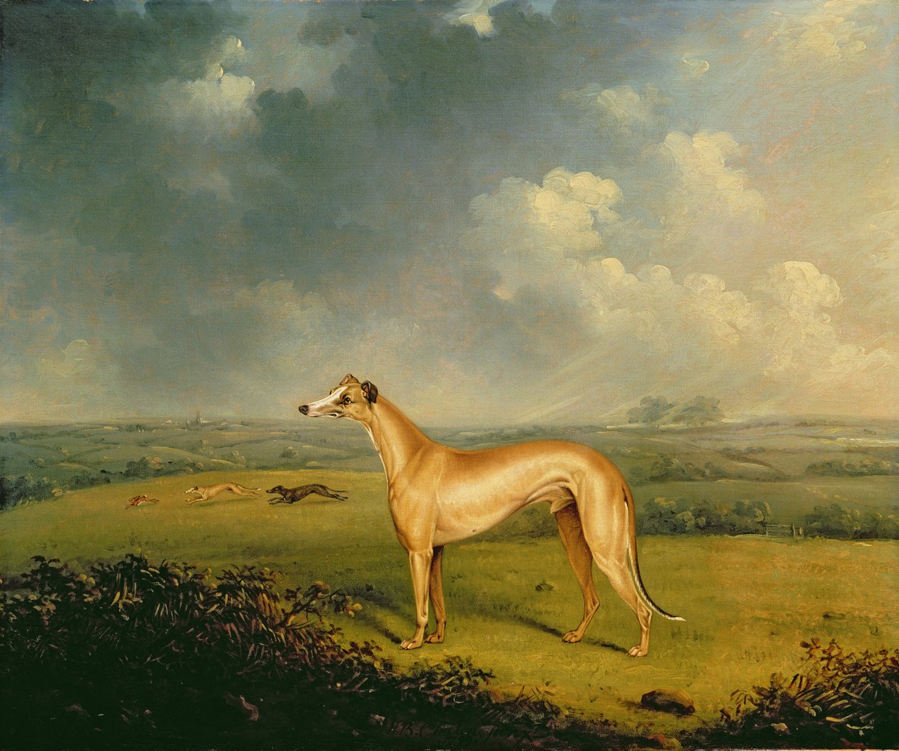 Henry Bate Dudley tiszteletes agárja, a "The Miller" alkotó: Henry Bernard Chalon
