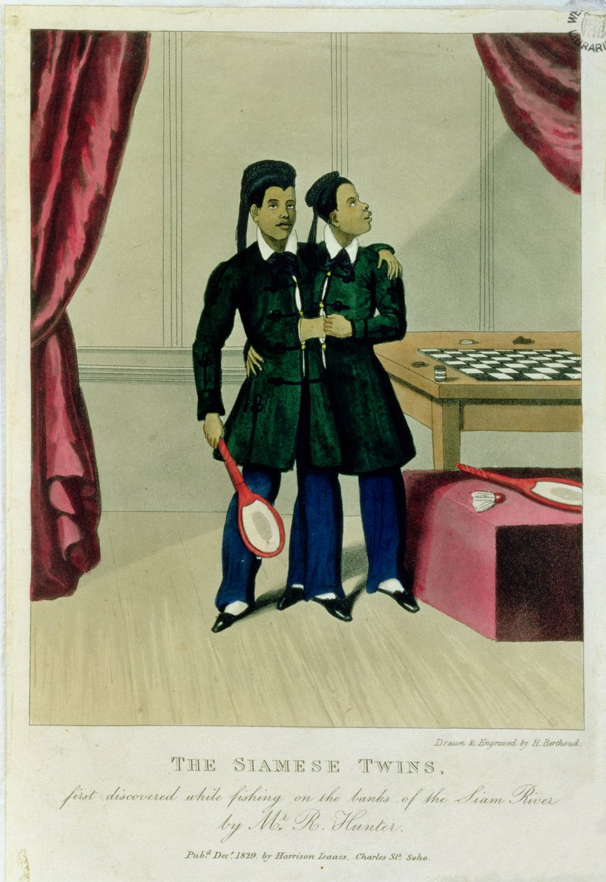 A sziámi ikrek, amelyeket először horgászat közben fedezett fel a Sziám folyó partján R. Hunter, 1829 alkotó: Henry Berthoud