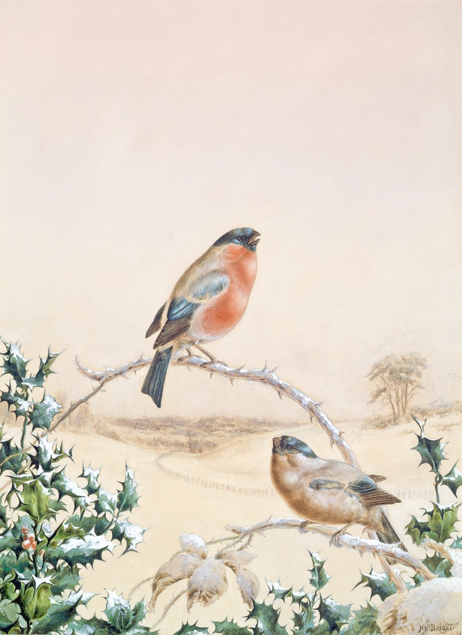 Téli jelenet Chaffinch-szel és Holly-val alkotó: Henry Bright
