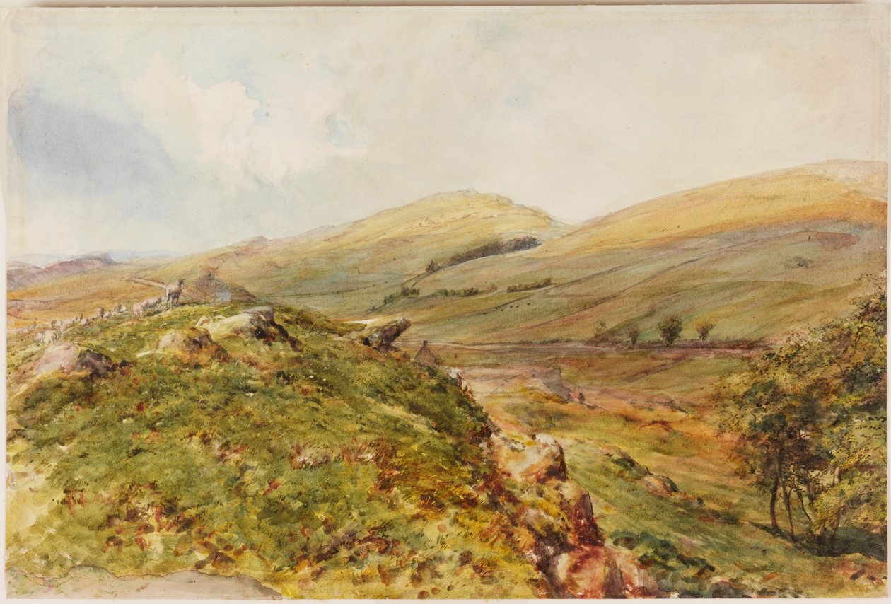 Cockmount Hill (testszín) alkotó: Henry Burdon Richardson