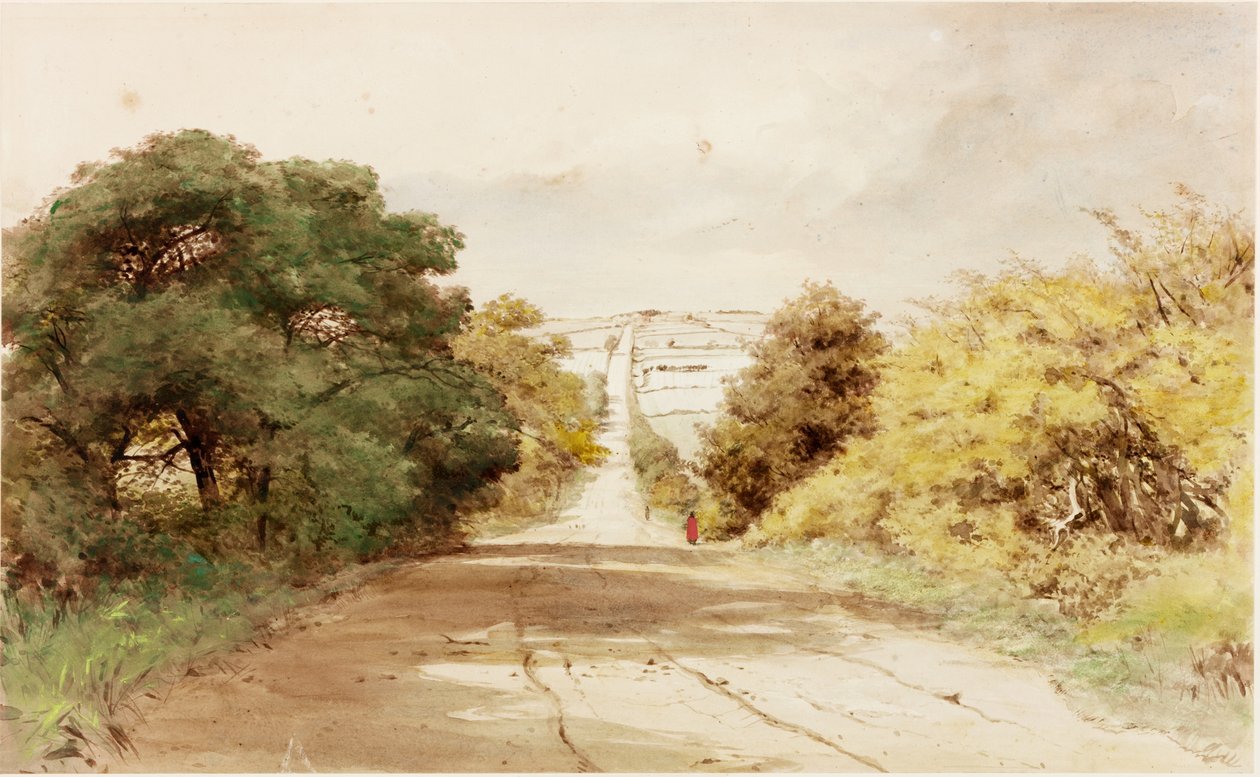 Harlow Hill (testszín) alkotó: Henry Burdon Richardson